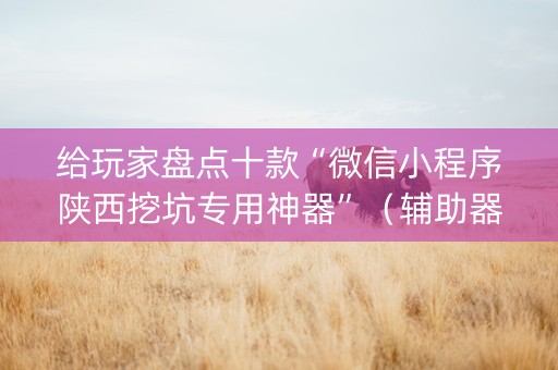 给玩家盘点十款“微信小程序陕西挖坑专用神器”（辅助器插件)