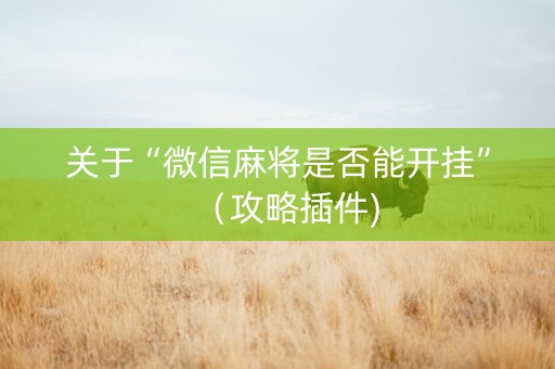 关于“微信麻将是否能开挂”（攻略插件)