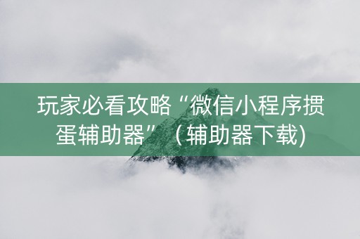 玩家必看攻略“微信小程序掼蛋辅助器”（辅助器下载)