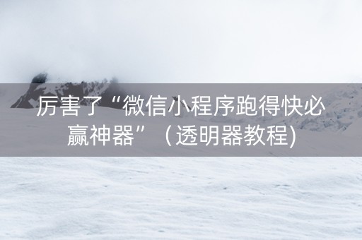 厉害了“微信小程序跑得快必赢神器”（透明器教程)