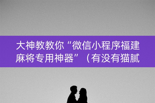 大神教教你“微信小程序福建麻将专用神器”（有没有猫腻)