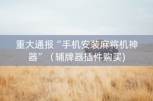 重大通报“手机安装麻将机神器”（辅牌器插件购买)