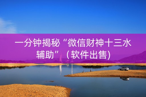 一分钟揭秘“微信财神十三水辅助”（软件出售)