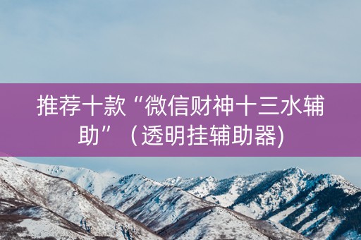 推荐十款“微信财神十三水辅助”（透明挂辅助器)