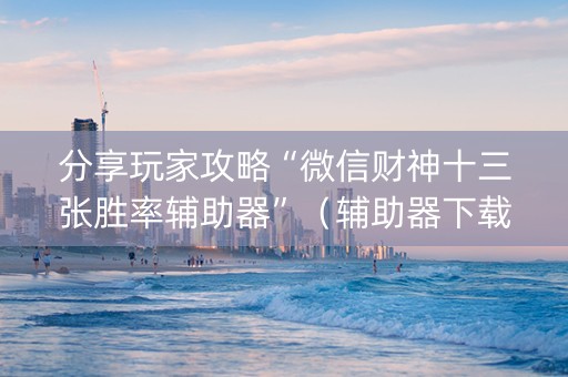 分享玩家攻略“微信财神十三张胜率辅助器”（辅助器下载)