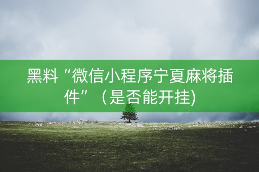 黑料“微信小程序宁夏麻将插件”（是否能开挂)