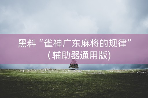 黑料“雀神广东麻将的规律”（辅助器通用版)