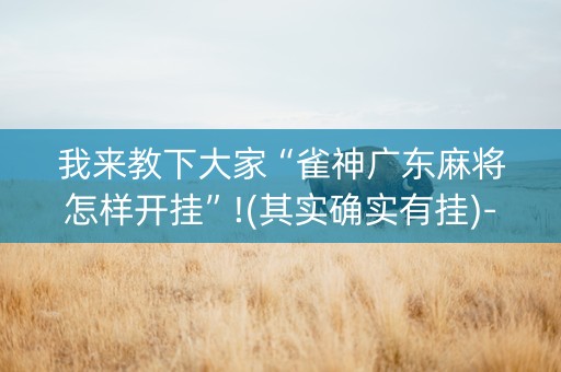 我来教下大家“雀神广东麻将怎样开挂”!(其实确实有挂)-知乎