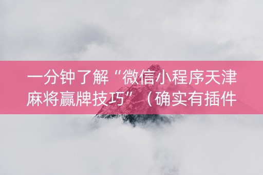 一分钟了解“微信小程序天津麻将赢牌技巧”（确实有插件吗)