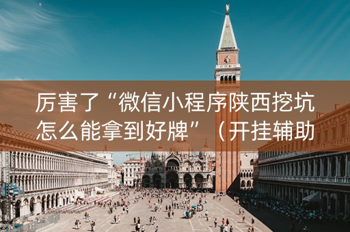厉害了“微信小程序陕西挖坑怎么能拿到好牌”（开挂辅助脚本)