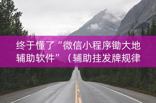 终于懂了“微信小程序锄大地辅助软件”（辅助挂发牌规律)
