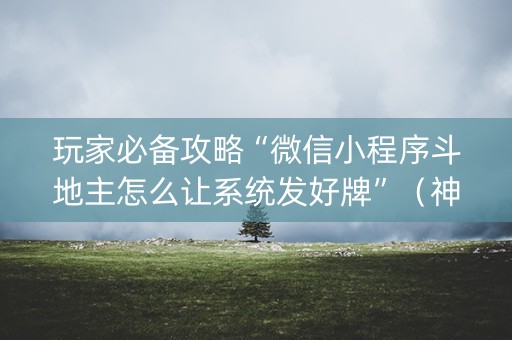 玩家必备攻略“微信小程序斗地主怎么让系统发好牌”（神器最新免费)