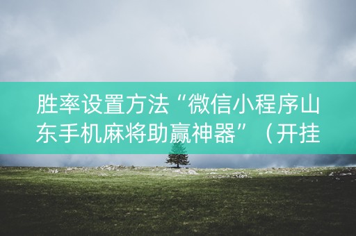 胜率设置方法“微信小程序山东手机麻将助赢神器”（开挂辅助器脚本)