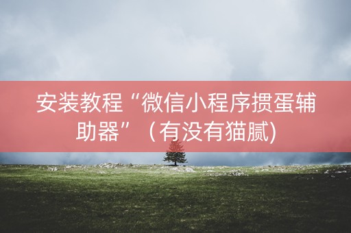安装教程“微信小程序掼蛋辅助器”（有没有猫腻)