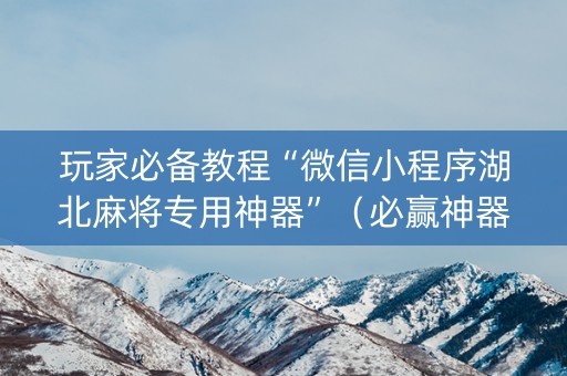 玩家必备教程“微信小程序湖北麻将专用神器”（必赢神器辅助器)