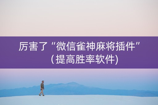 厉害了“微信雀神麻将插件”（提高胜率软件)
