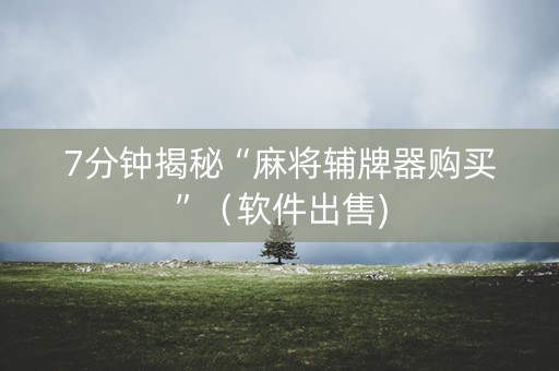 7分钟揭秘“麻将辅牌器购买”（软件出售)