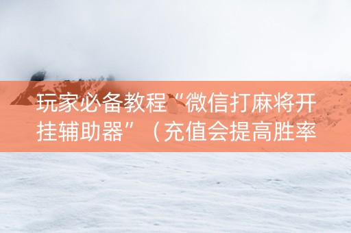 玩家必备教程“微信打麻将开挂辅助器”（充值会提高胜率么)