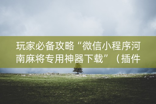 玩家必备攻略“微信小程序河南麻将专用神器下载”（插件开挂免费AI)