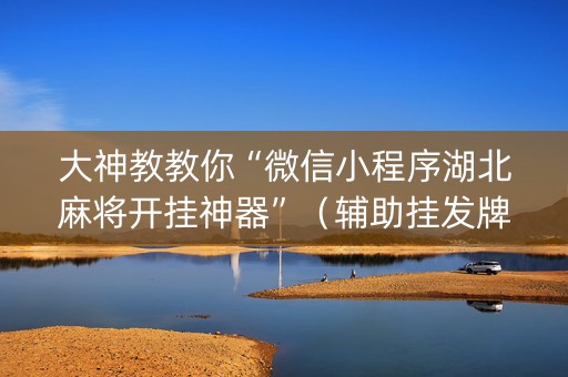 大神教教你“微信小程序湖北麻将开挂神器”（辅助挂发牌规律)