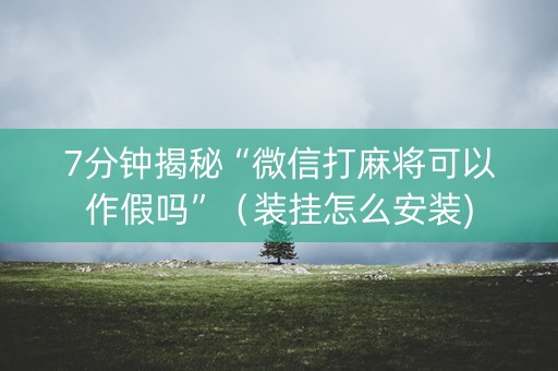 7分钟揭秘“微信打麻将可以作假吗”（装挂怎么安装)
