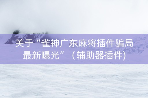 关于“雀神广东麻将插件骗局最新曝光”（辅助器插件)
