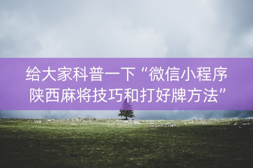 给大家科普一下“微信小程序陕西麻将技巧和打好牌方法”（透明挂辅助器)