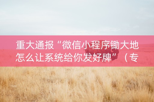 重大通报“微信小程序锄大地怎么让系统给你发好牌”（专用神器)