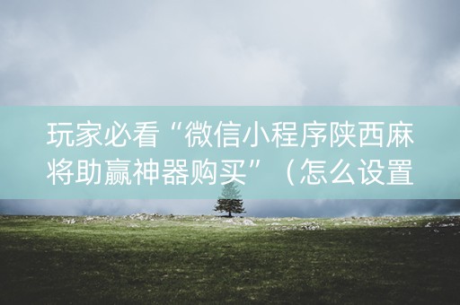 玩家必看“微信小程序陕西麻将助赢神器购买”（怎么设置能有好牌)