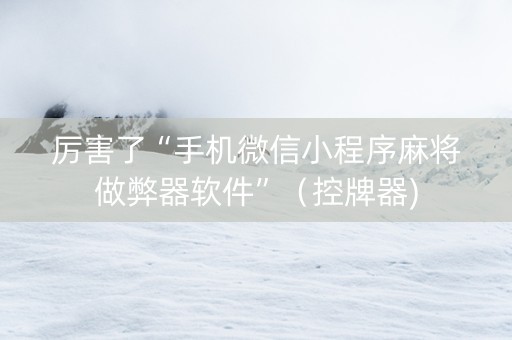 厉害了“手机微信小程序麻将做弊器软件”（控牌器)