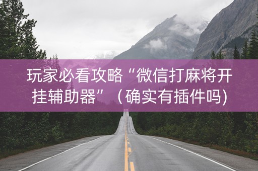 玩家必看攻略“微信打麻将开挂辅助器”（确实有插件吗)