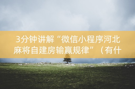 3分钟讲解“微信小程序河北麻将自建房输赢规律”（有什么规律)
