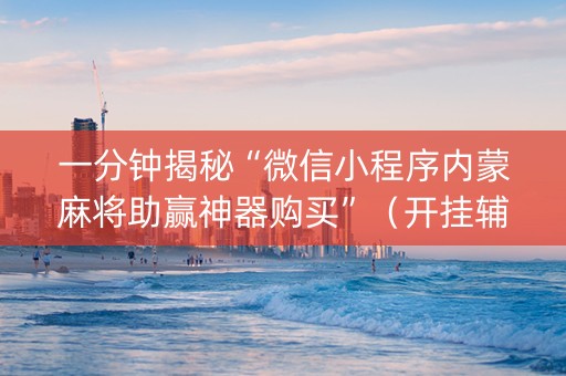 一分钟揭秘“微信小程序内蒙麻将助赢神器购买”（开挂辅助插件)
