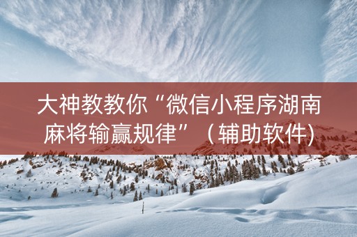 大神教教你“微信小程序湖南麻将输赢规律”（辅助软件)