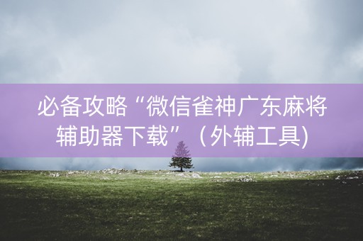 必备攻略“微信雀神广东麻将辅助器下载”（外辅工具)