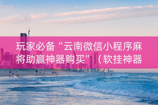 玩家必备“云南微信小程序麻将助赢神器购买”（软挂神器)