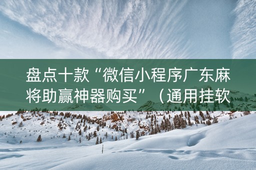 盘点十款“微信小程序广东麻将助赢神器购买”（通用挂软件多少钱)