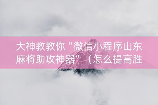 大神教教你“微信小程序山东麻将助攻神器”（怎么提高胜率)