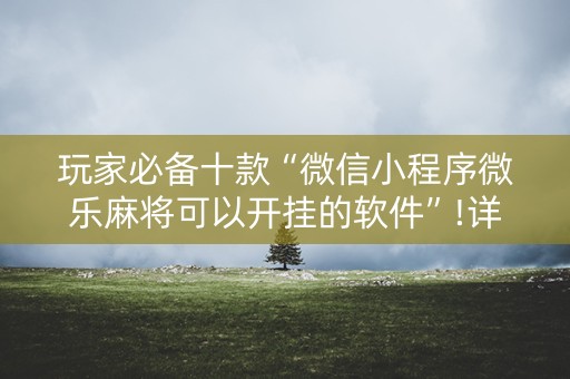 玩家必备十款“微信小程序微乐麻将可以开挂的软件”!详细开挂教程-知乎