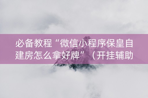 必备教程“微信小程序保皇自建房怎么拿好牌”（开挂辅助脚本)