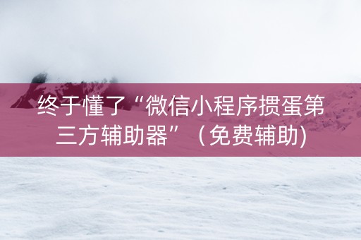 终于懂了“微信小程序掼蛋第三方辅助器”（免费辅助)