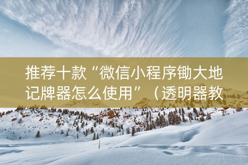 推荐十款“微信小程序锄大地记牌器怎么使用”（透明器教程)
