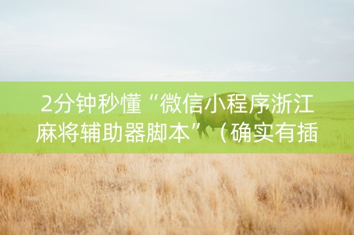 2分钟秒懂“微信小程序浙江麻将辅助器脚本”（确实有插件吗)