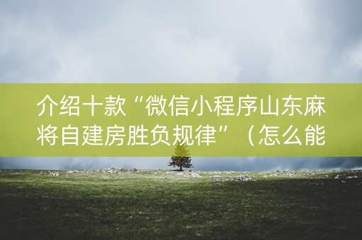 介绍十款“微信小程序山东麻将自建房胜负规律”（怎么能让牌好一点)