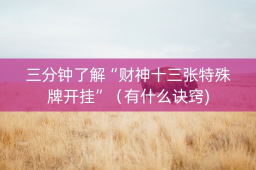 三分钟了解“财神十三张特殊牌开挂”（有什么诀窍)