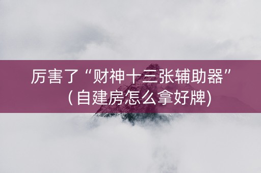 厉害了“财神十三张辅助器”（自建房怎么拿好牌)