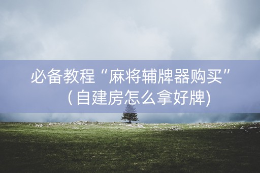 必备教程“麻将辅牌器购买”（自建房怎么拿好牌)