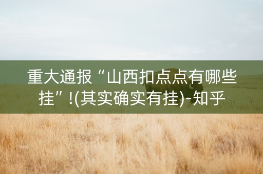 重大通报“山西扣点点有哪些挂”!(其实确实有挂)-知乎
