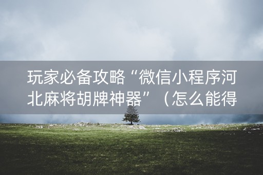 玩家必备攻略“微信小程序河北麻将胡牌神器”（怎么能得到好牌)