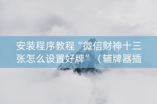 安装程序教程“微信财神十三张怎么设置好牌”（辅牌器插件购买)